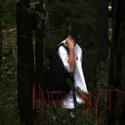 Picture of Into Dust